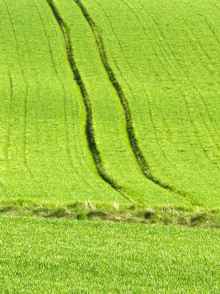 Platteland Landbouwgrond — Stockfoto