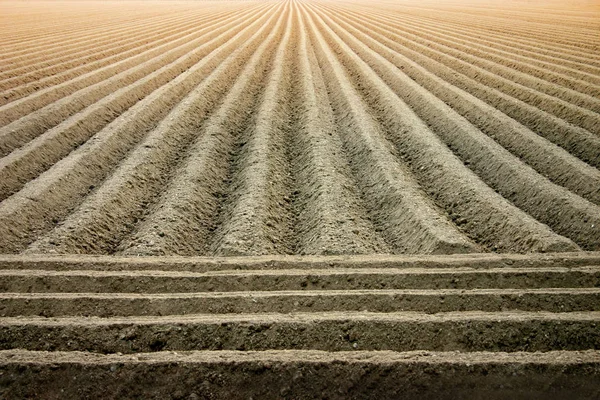 Campo Rural Terreno Agrícola — Foto de Stock