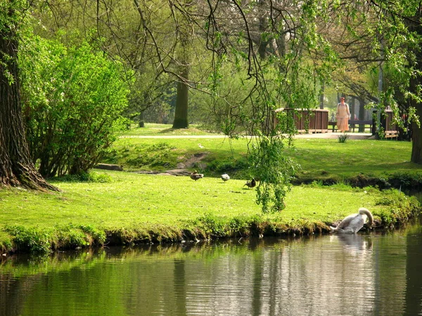 Primavera Parque — Foto de Stock