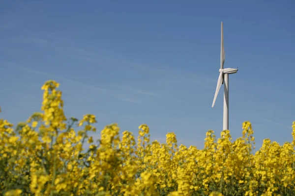 Windmill Alternative Electric Power — Stock Photo, Image