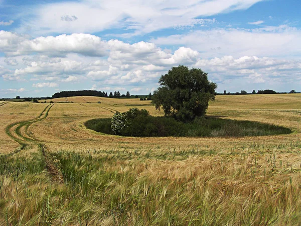 Vista Panorámica Agricultura Campo — Foto de Stock