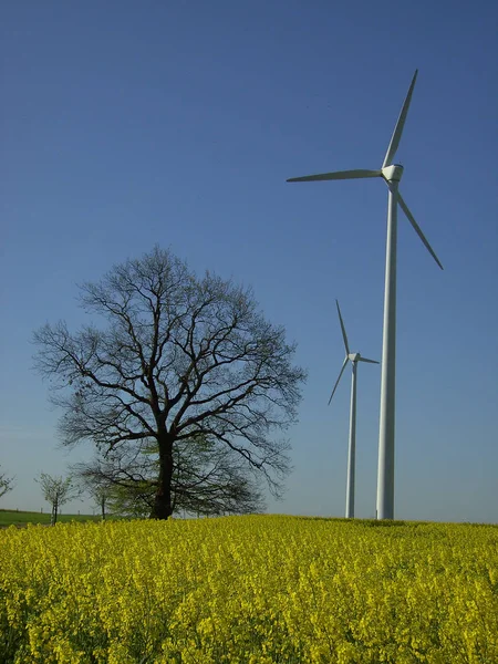 Wind Turbines Electricity Technology — Stock Photo, Image