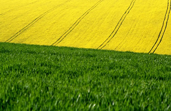 Bella Vista Sulla Zona Rurale — Foto Stock