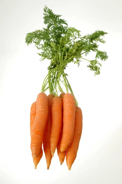 Ramo Zanahorias — Foto de Stock
