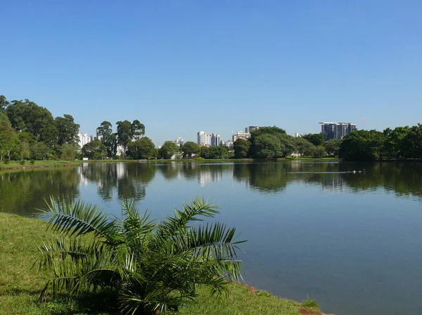 Milyonlarca Metropol Sao Paulo Nun Ortasında Bir Barış Vahası — Stok fotoğraf