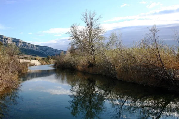 Beautiful View Nature Scene — Stock Photo, Image