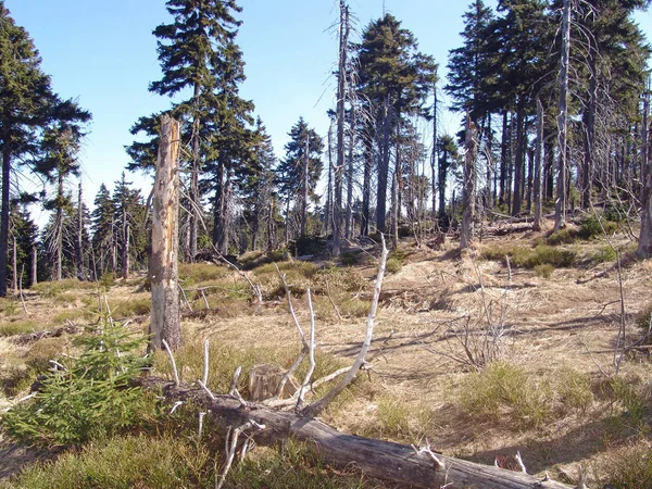 Vacker Utsikt Över Naturen — Stockfoto