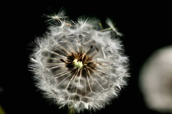 Belle Vue Sur Les Paysages Naturels — Photo