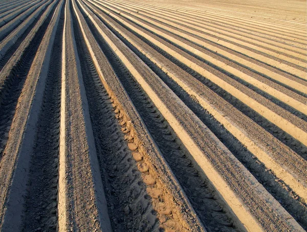 Landschapsbeeld Selectieve Focus — Stockfoto