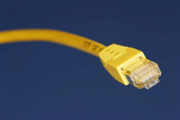 Nätverkskabel Internet — Stockfoto