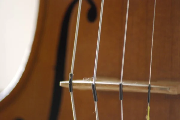 Geige Musikinstrument Nahaufnahme — Stockfoto