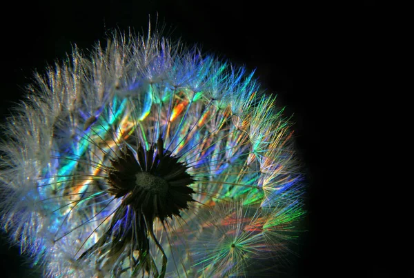 Saudações Coloridas Para Todos — Fotografia de Stock