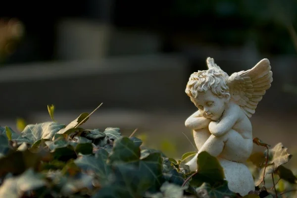 Primer Plano Estatua Vintage Forma Ángel — Foto de Stock