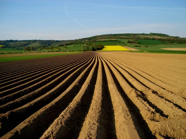 Agriculture Filed Countryside Farming — Stock Photo, Image