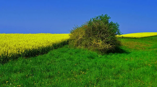 Hermosa Vista Zona Rural — Foto de Stock