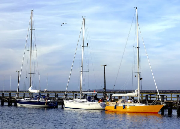 Veleros Marinos Agua Mar Transporte Embarcaciones — Foto de Stock