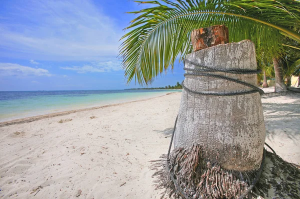 Hermosa Vista Orilla Del Mar — Foto de Stock