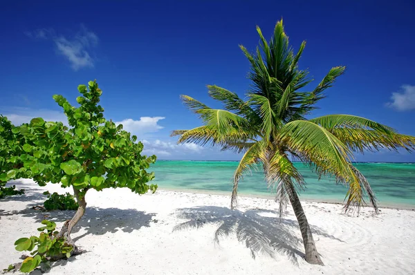 Vista Panorámica Playa Ensueño — Foto de Stock