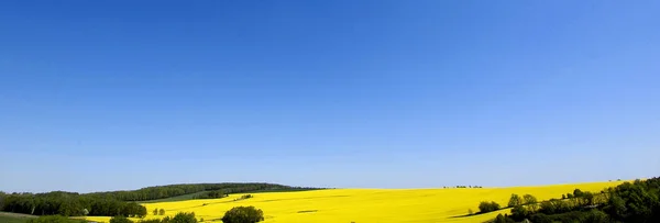 Beautiful View Park — Stock Photo, Image