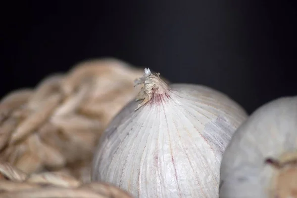 Close Food Selective Focus — Stock Photo, Image