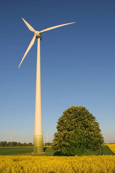 Indústria Turbinas Eólicas Energia Renovável — Fotografia de Stock