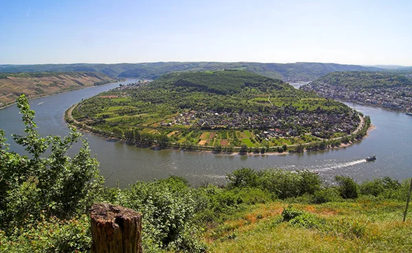 Bucle Rhine Boppard —  Fotos de Stock