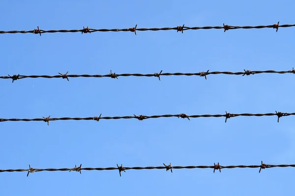 Alambre Púas Fondo Del Cielo Azul — Foto de Stock