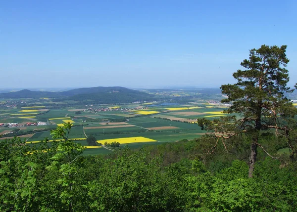 Zoek Naar Het Land — Stockfoto