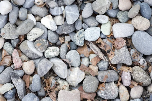 Каміння Пляжна Галька Каміння — стокове фото