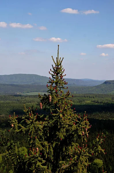 Vacker Utsikt Över Naturen Landskap — Stockfoto