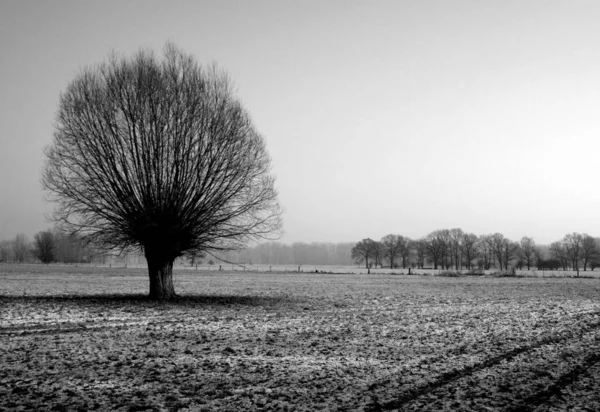 Picturesque View Nature Scene — Stock Photo, Image