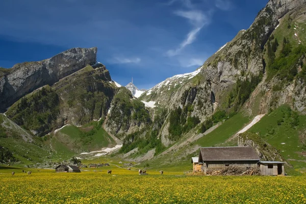 Cestování Krásných Alpách — Stock fotografie