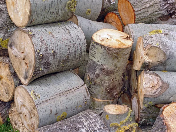 Holz Brennholz Holzscheit — Stockfoto