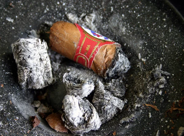 Mégots Cigarette Tabac — Photo