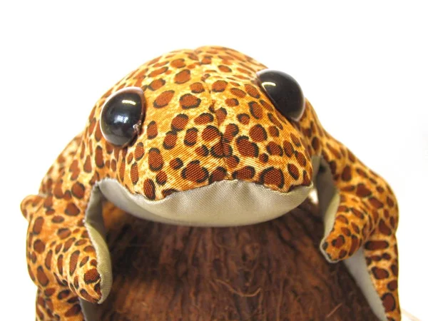 Nahaufnahme Eines Leopardengeckos — Stockfoto