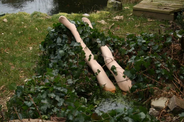 Macabre Artwork Garden Pond — Stock Photo, Image