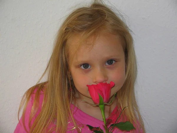 Девушка Пахнущая Розой — стоковое фото