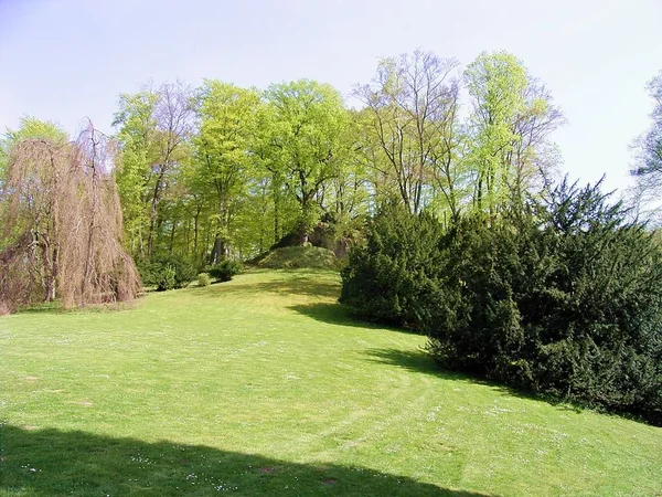 Prachtig Uitzicht Natuur — Stockfoto