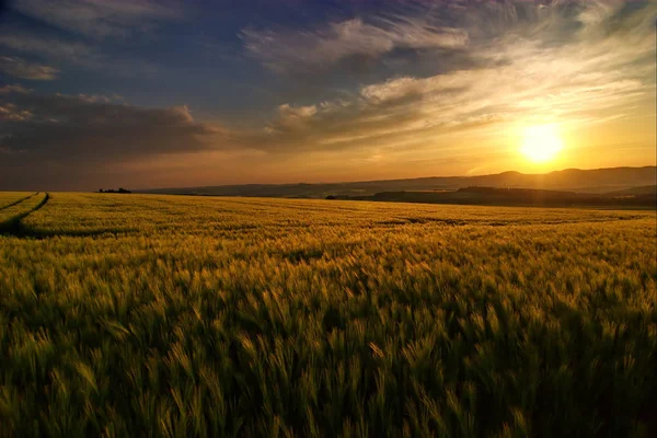 Aussichtsreicher Blick Auf Die Landwirtschaft Auf Dem Land — Stockfoto