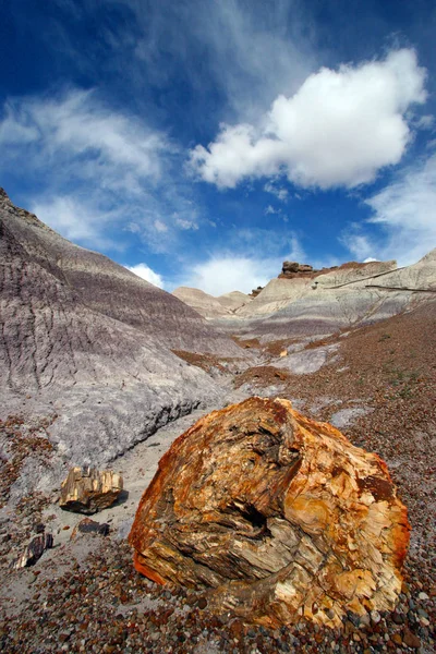 Petrified Forest National Park National Park Nit Located Northeastern Arizona — Fotografia de Stock