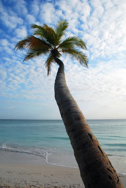 Prachtig Uitzicht Het Natuurlandschap — Stockfoto