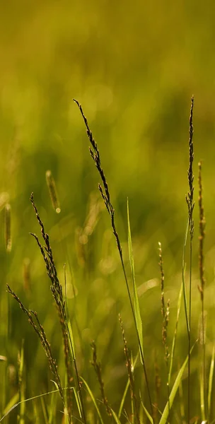 Όμορφη Θέα Του Τοπίου Της Φύσης — Φωτογραφία Αρχείου