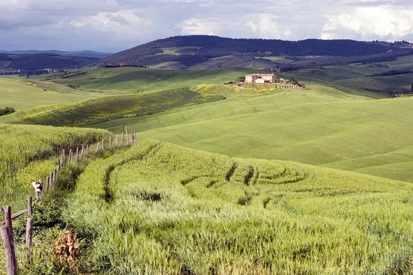 Toscana Una Región Centro Italia — Foto de Stock