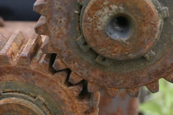 Roda Dentada Engenharia Roda Dentada — Fotografia de Stock