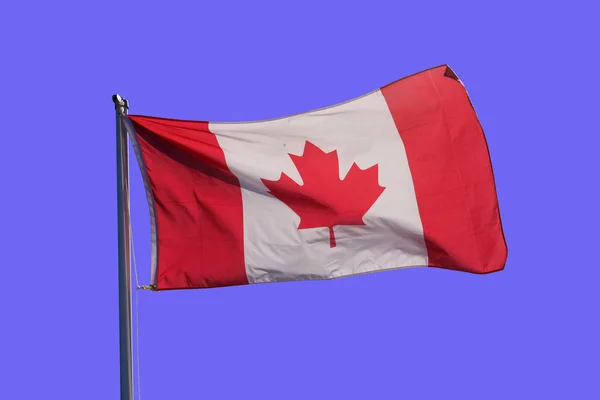 Canadese Vlag Een Heldere Blauwe Lucht — Stockfoto