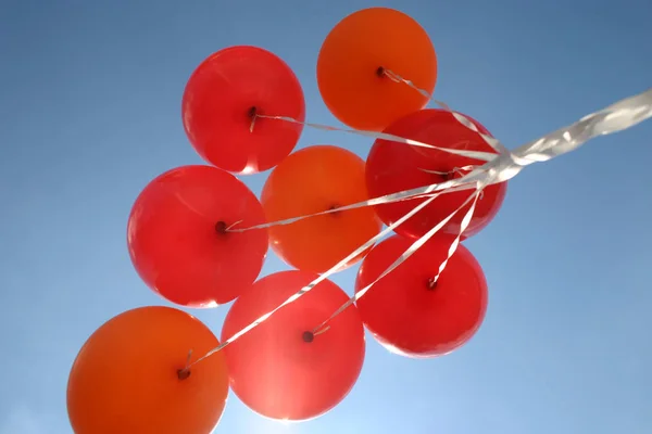 Rode Tomaten Kersenboom — Stockfoto