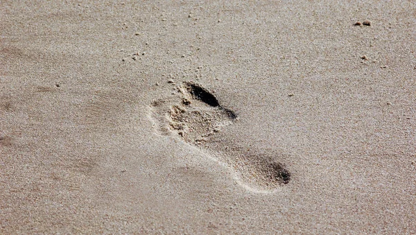 Spuren Sand — Stockfoto