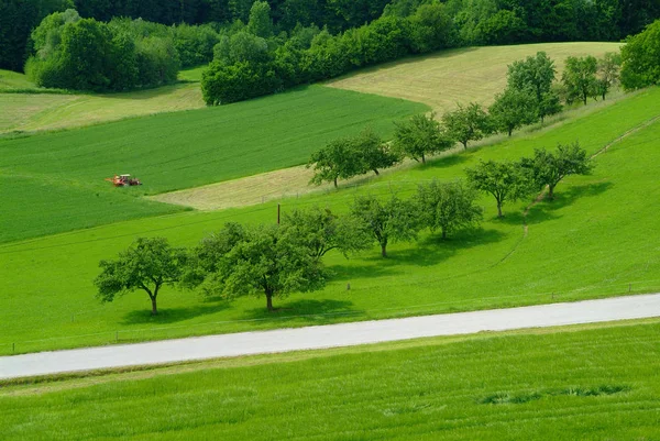 Czerwony Ciągnik Zielonym Polu Drzewami Drogą Krajową — Zdjęcie stockowe