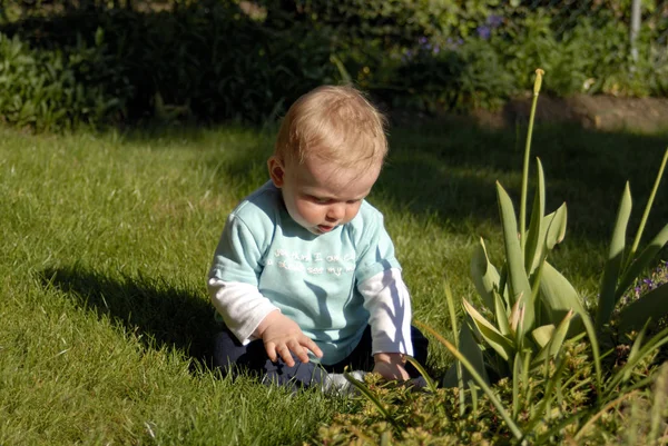 Enfant Dans Jardin — Photo