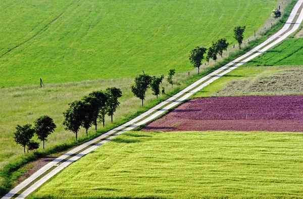 Pittoresk Utsikt Över Naturscenen — Stockfoto